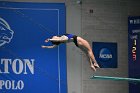 Diving vs USCGA  Wheaton College Swimming & Diving vs US Coast Guard Academy. - Photo By: KEITH NORDSTROM : Wheaton, Swimming, Diving